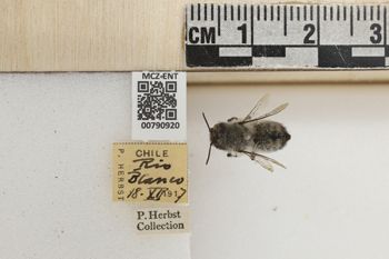 Media type: image;   Entomology 790920 Aspect: Labels